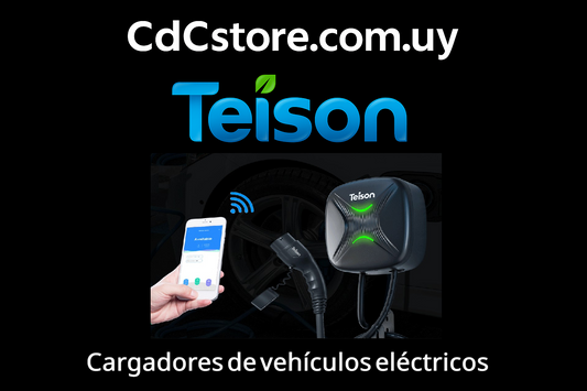 Información general y sobre cargadores Teison